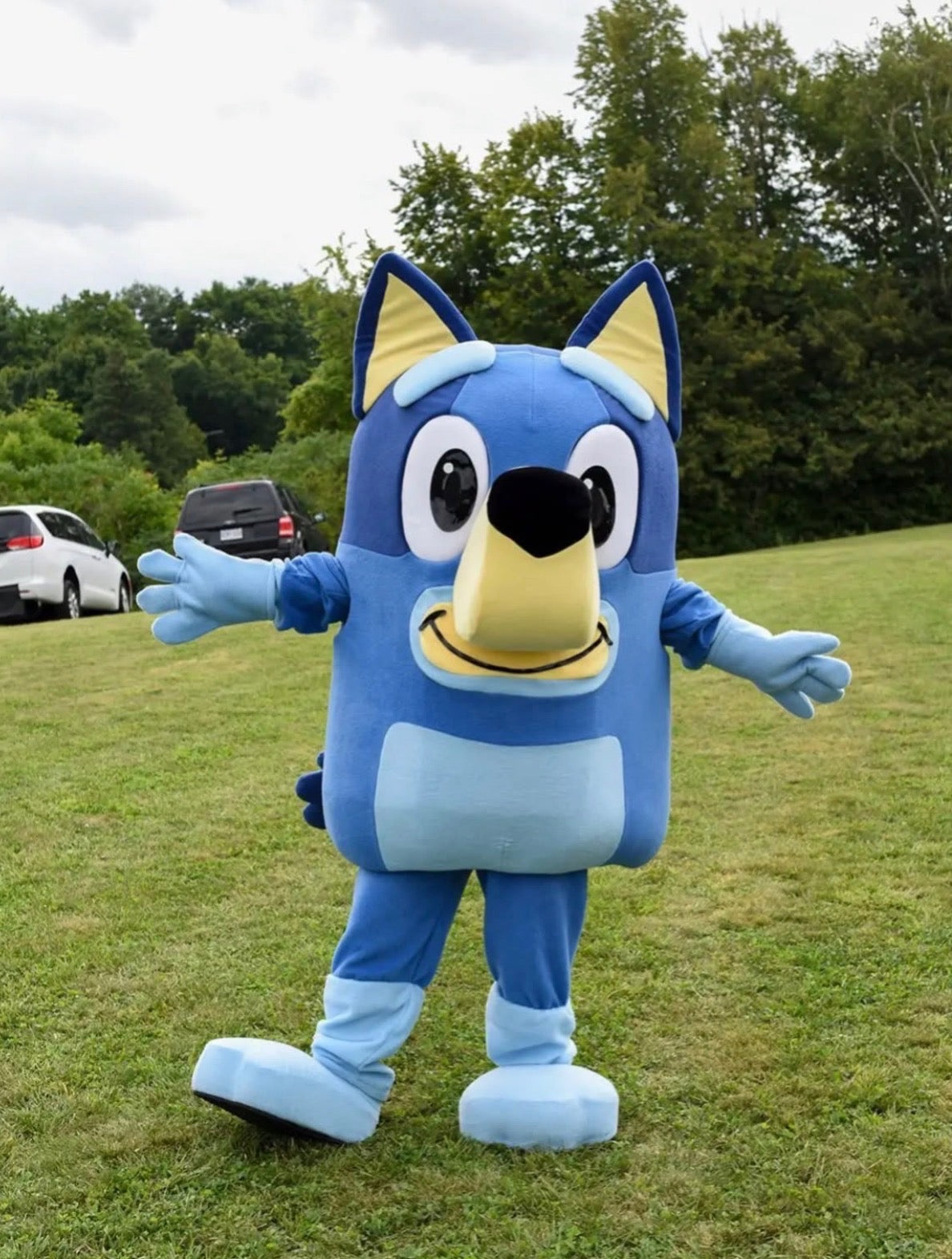 Bluey Mascot