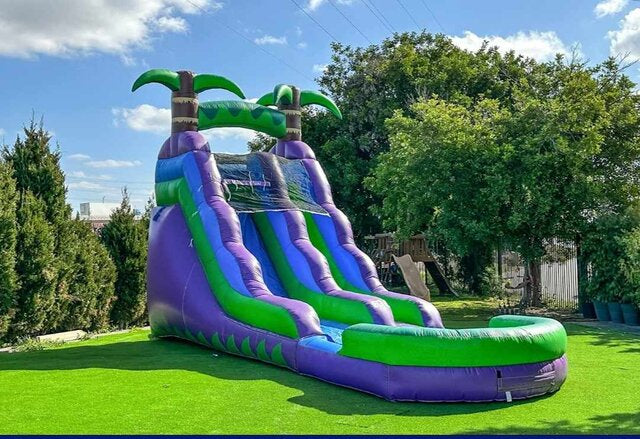 Tropical Giant Water Slide with Pool (Wet & Dry)