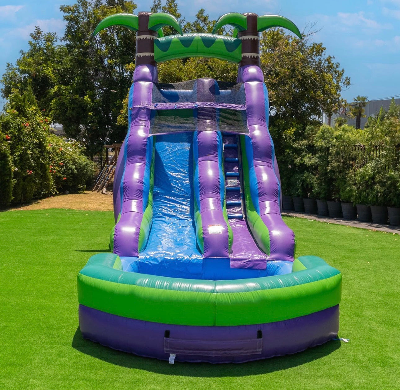 Tropical Giant Water Slide with Pool (Wet & Dry)